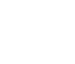 Arc Advisers